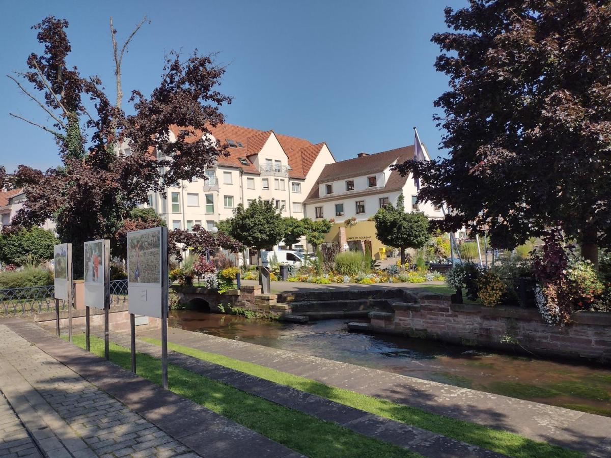 Charmant Studio Classe 3 Etoiles Au Coeur De Niederbronn-Les-Bains Exteriör bild
