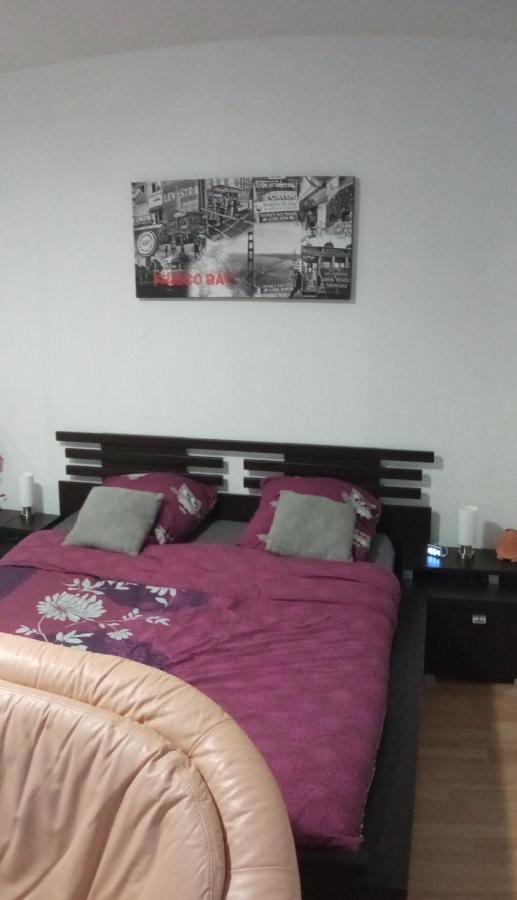 Charmant Studio Classe 3 Etoiles Au Coeur De Niederbronn-Les-Bains Exteriör bild